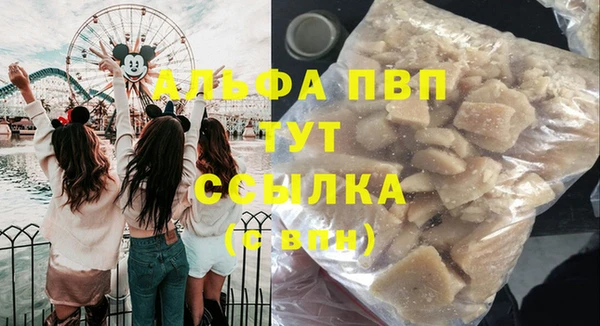 мдпв Абаза