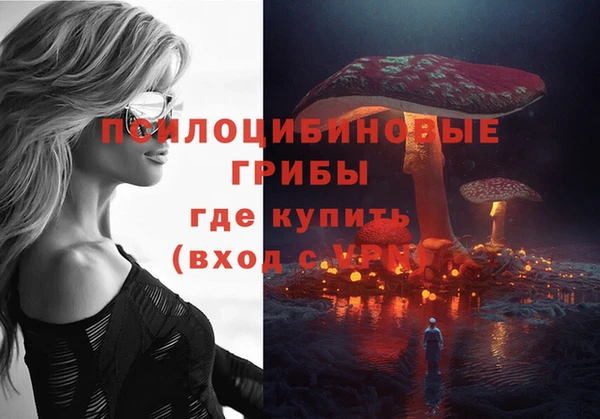 бутират Сатка