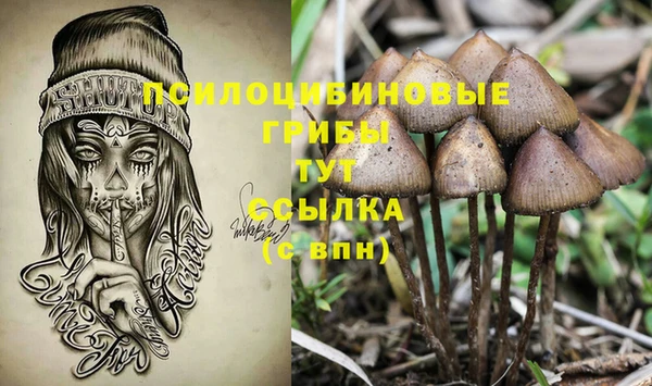 стафф Абинск