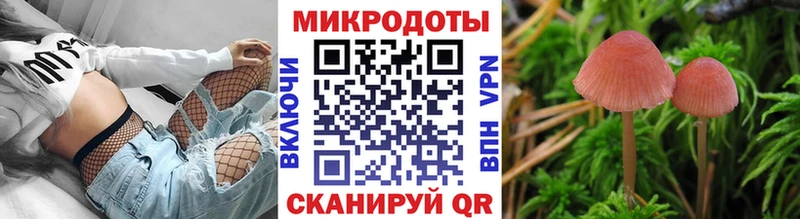 shop клад  Болгар  Галлюциногенные грибы GOLDEN TEACHER  где купить наркоту 